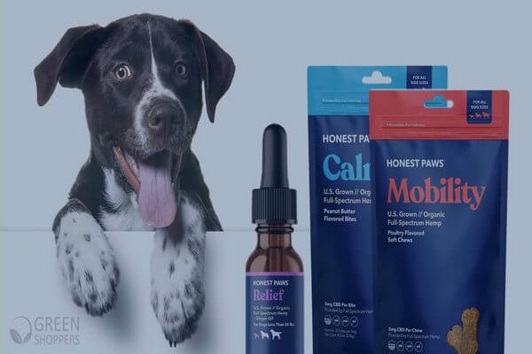 Honest Paws Reviews: Will It Help Your Pup? Update 2020