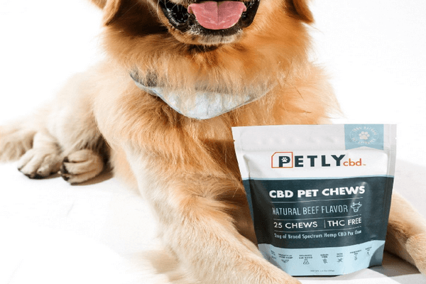 Dog with bag of CBD treats between paws