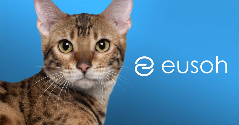 Eusoh Reviews: Is It Better Than Actual Pet Insurance?