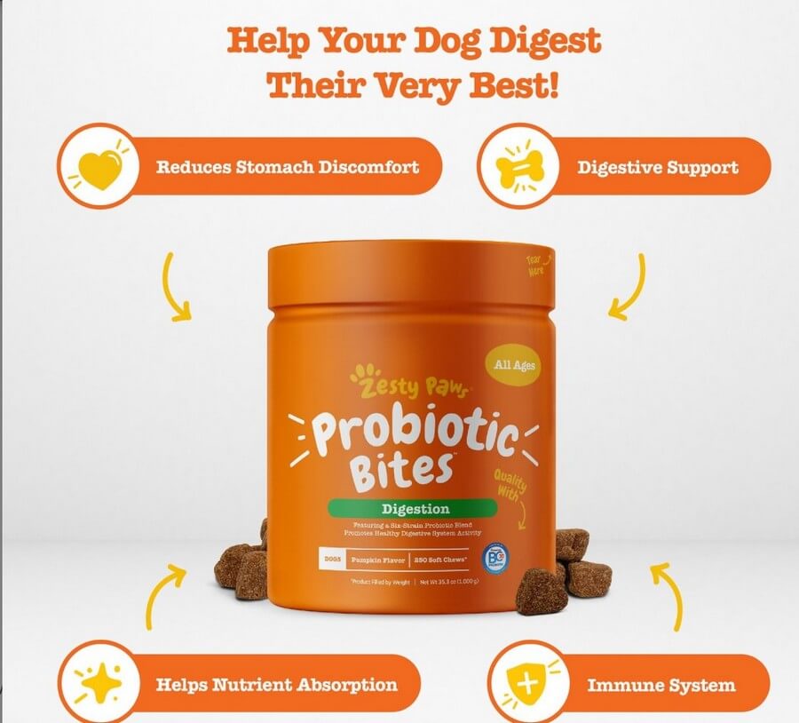 Zesty Paws Probiotic Bites Reviews: Healthy Gut in All Dogs!